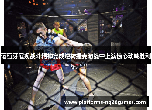 葡萄牙展现战斗精神完成逆转捷克激战中上演惊心动魄胜利 葡萄牙展现战斗精神完成逆转捷克激战中上演惊心动魄胜利