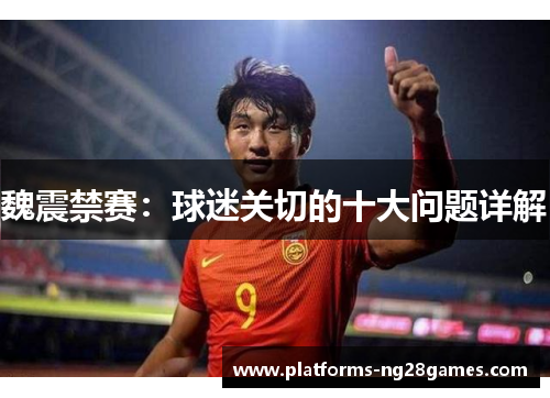 魏震禁赛：球迷关切的十大问题详解